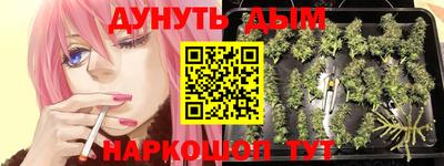 стафф Северобайкальск