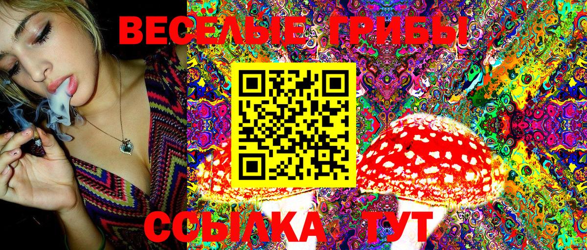 где купить   Вход с VPN  Чита  Псилоцибиновые грибы MAGIC MUSHROOMS  Галлюциногенные грибы GOLDEN TEACHER 
