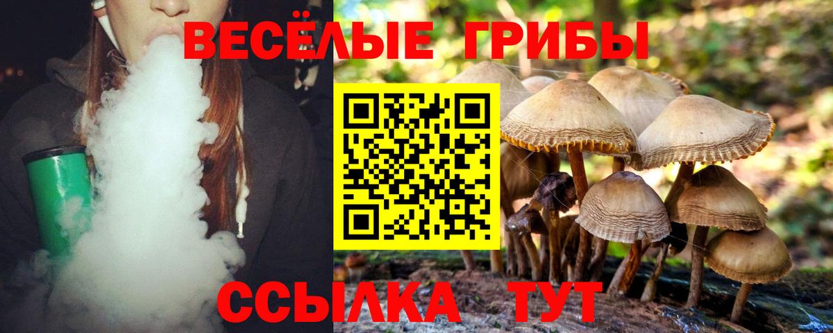 Галлюциногенные грибы мицелий Чита